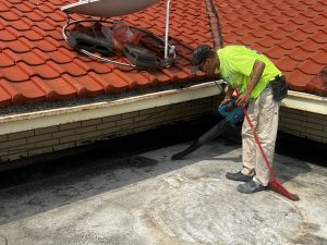 高雄老屋修繕補助申請重點，在地修繕經驗解析