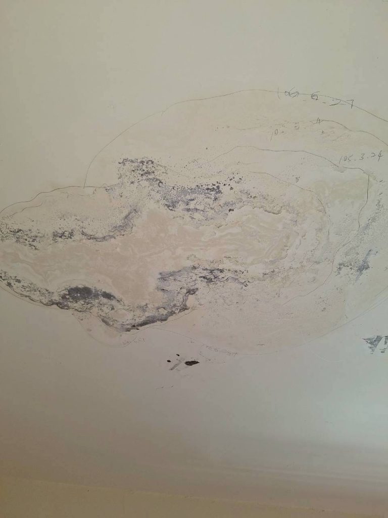 亞設修繕工程-天花板與牆面防水止漏