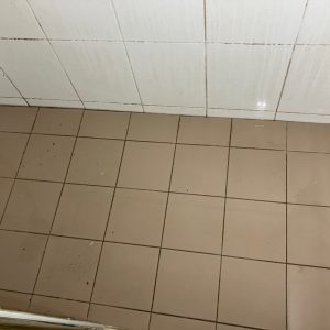 浴室防水完整攻略｜施工、試水到完工的 6 個關鍵