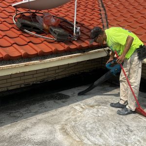 高雄老屋修繕補助申請重點，在地修繕經驗解析